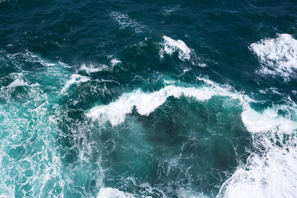 Ocean marketing