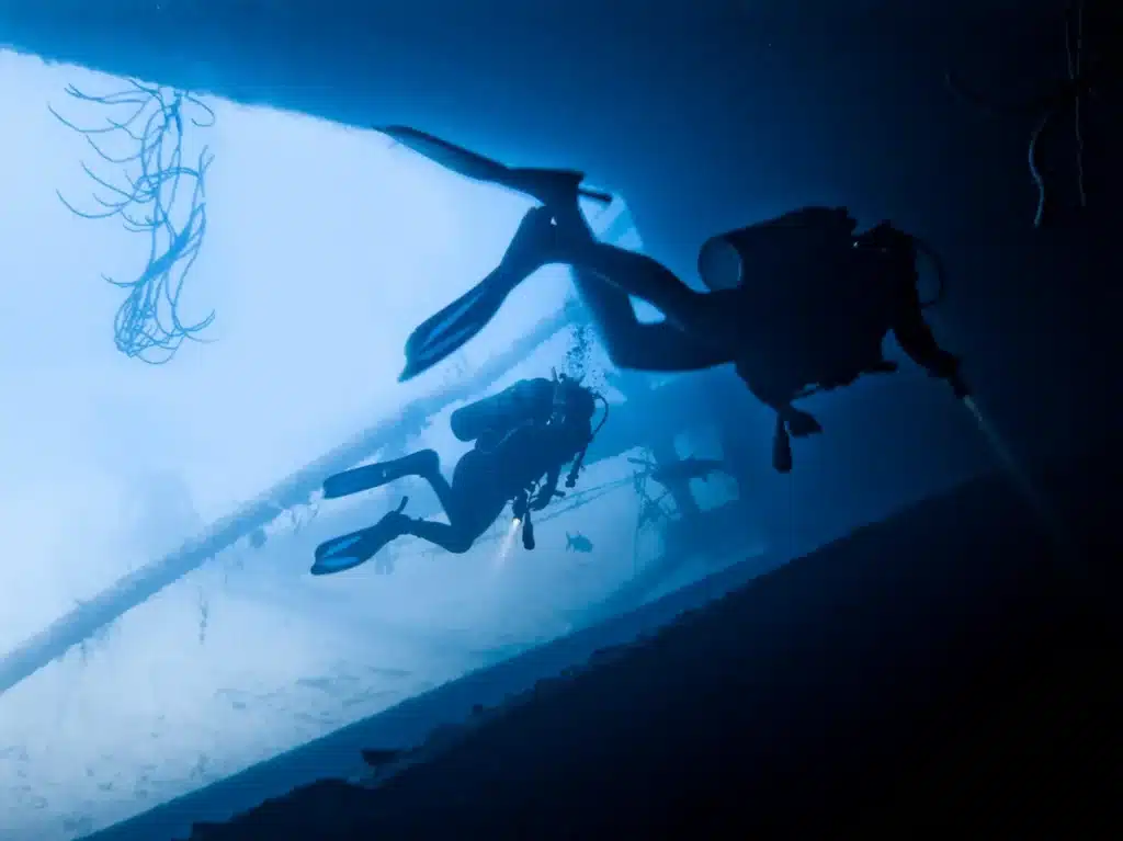 direct bookings for dive center