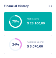 Financial history